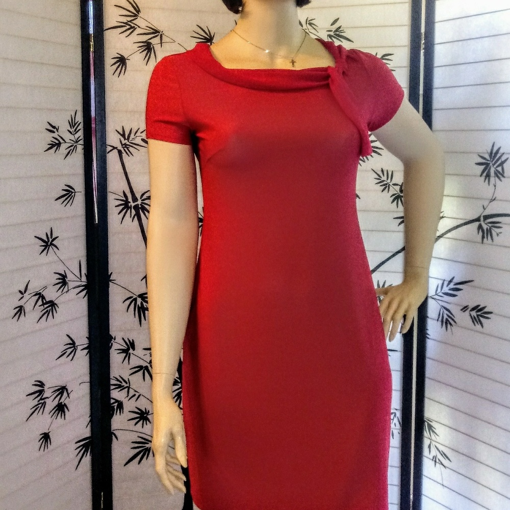 Plus size Red lycra dress